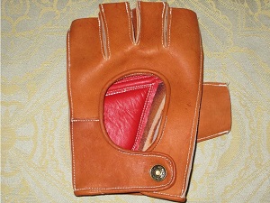 Model.ProductName